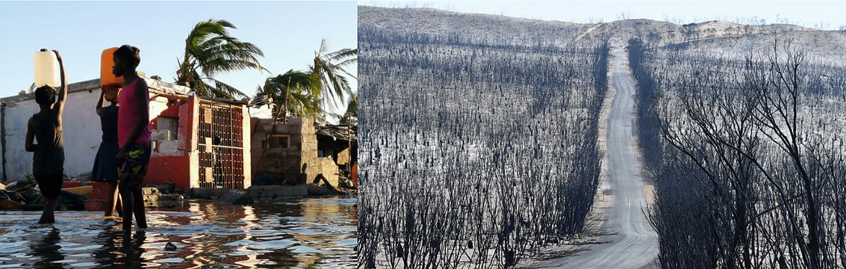 People wading through a flooded village on the left; a scorched forest with a road on the right.