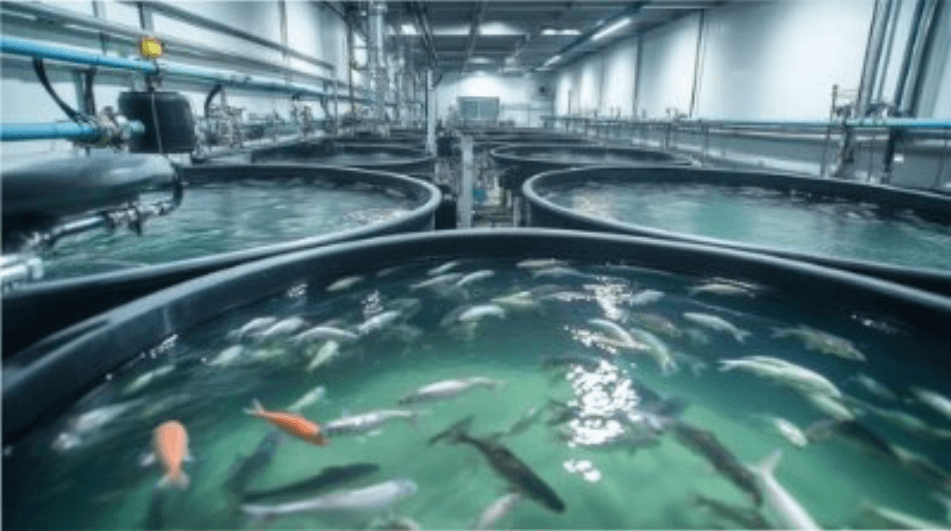 Aquaculture Tech