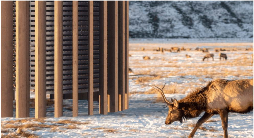 Why We Invested in Spiritus and Empowering Carbon Dioxide Removal