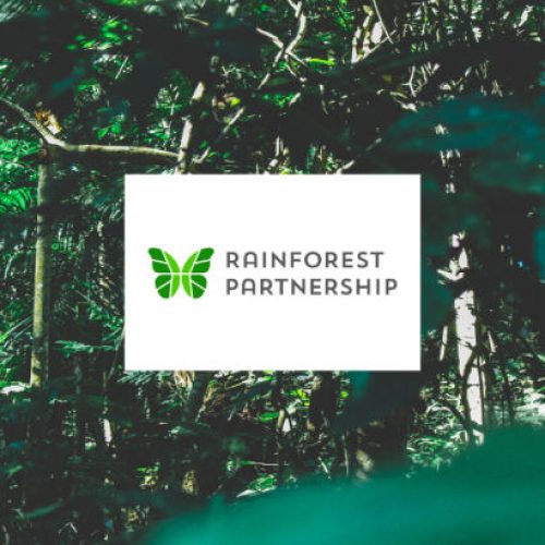 rainforest-partnership-donate-740x410