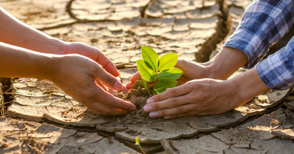 Two people nurturing a young plant in dry, cracked soil, symbolizing hope and care.