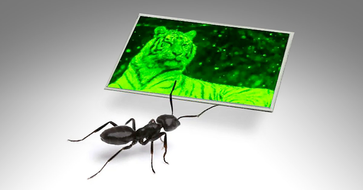 An ant facing a screen displaying a green filtered image of a tiger.